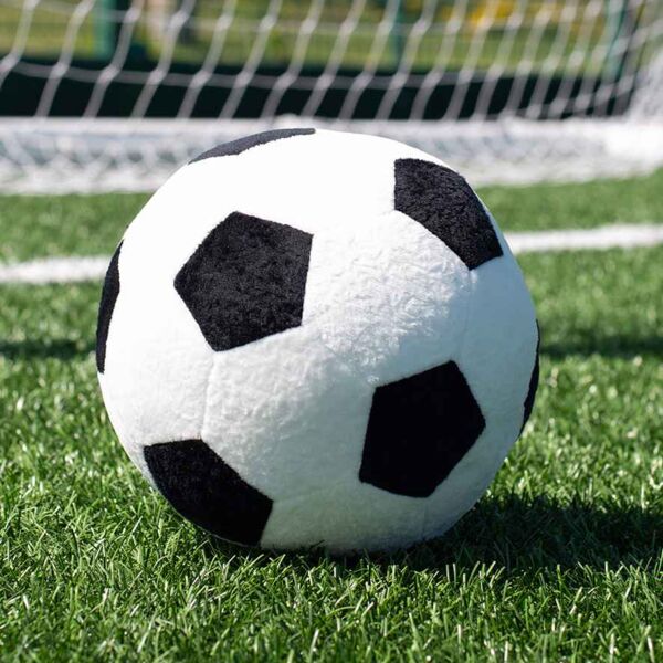 Mumbles Zippie Football Thumbnail